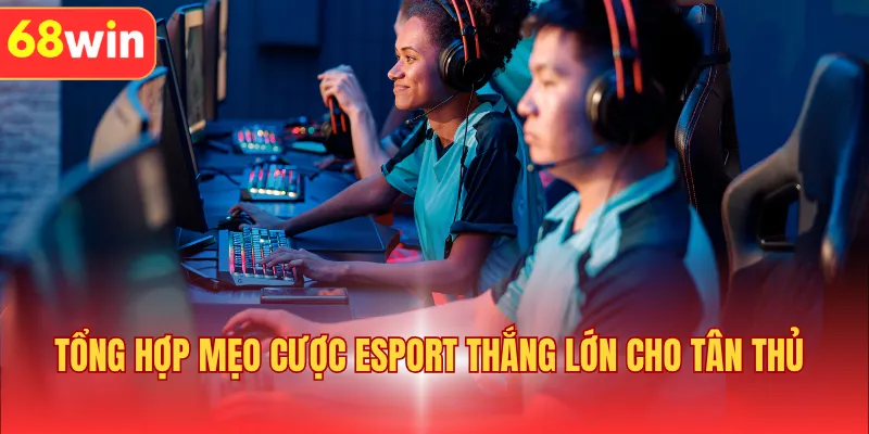 Tổng hợp mẹo cược Esport thắng lớn cho tân thủ